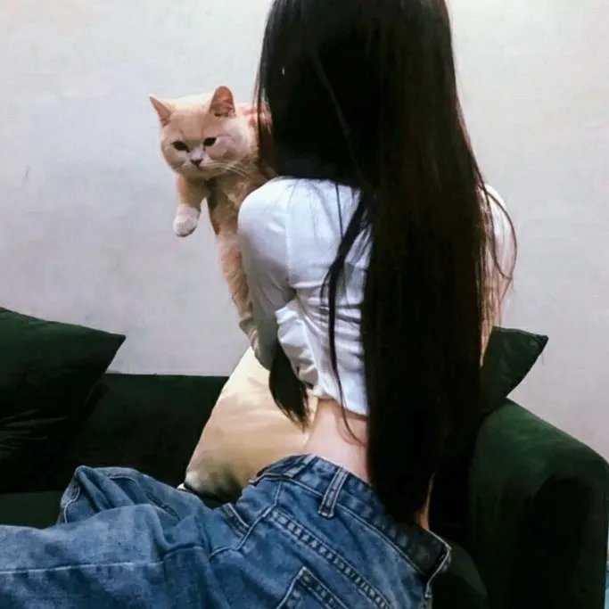 魔法师的猫
